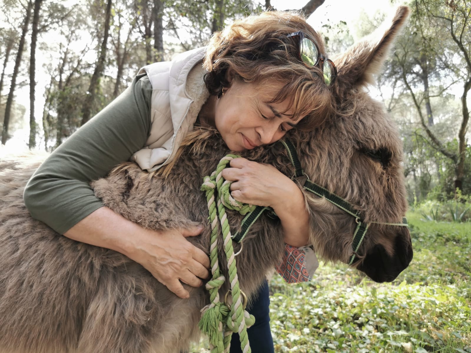 Terapia para sanitarios con burros