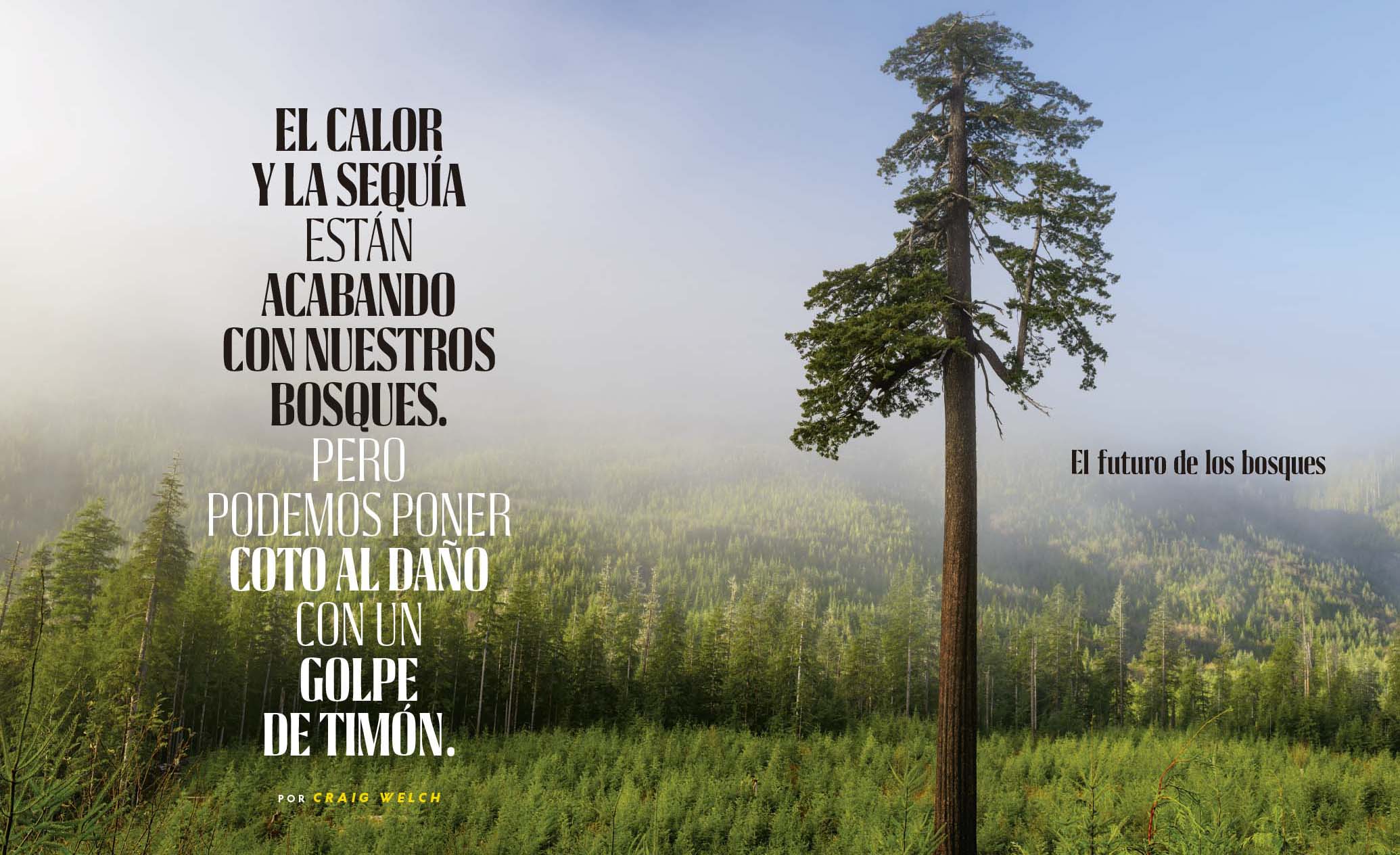 National Geographic 25 años futuro bosques