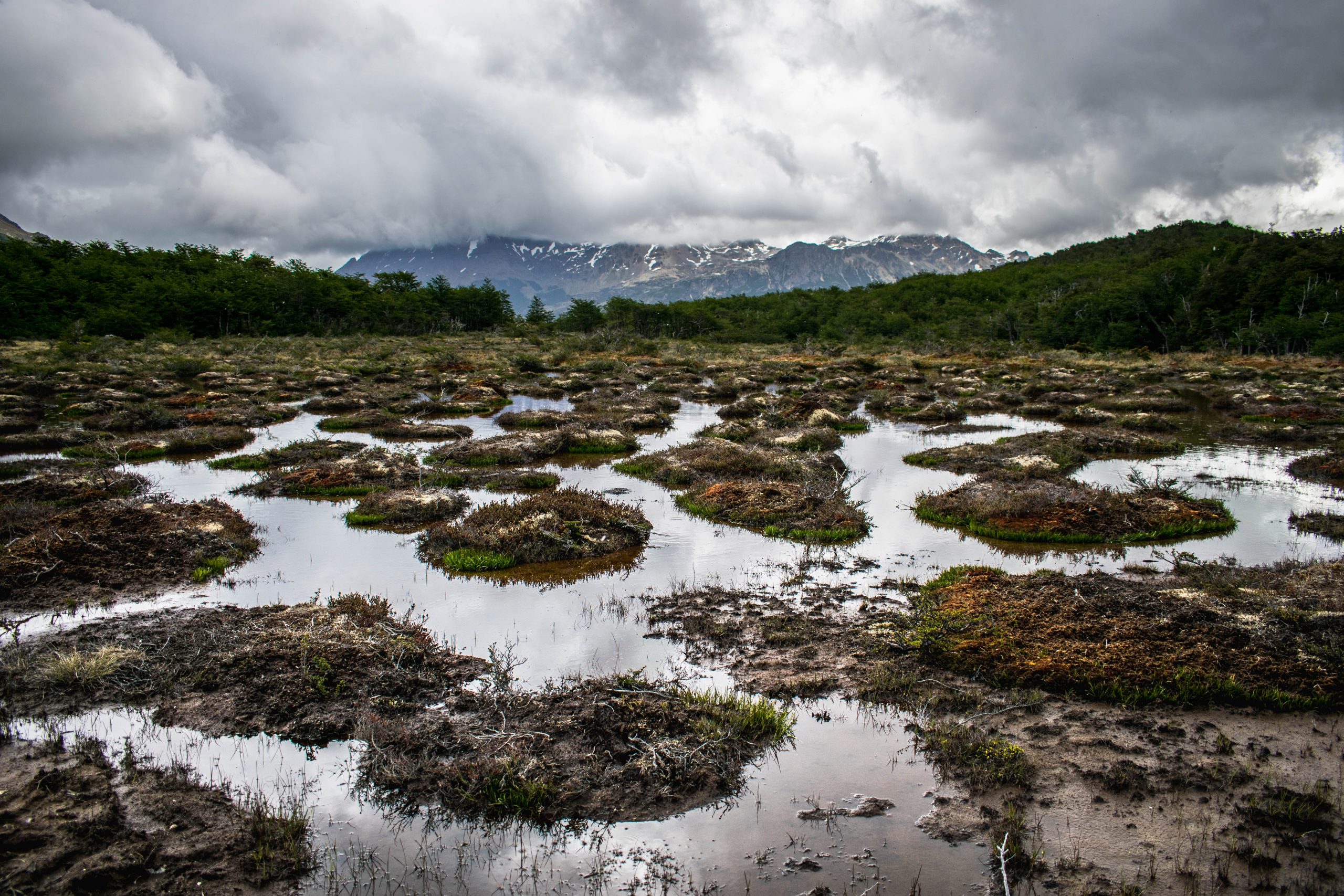 Humedales Ecologistas en Acción