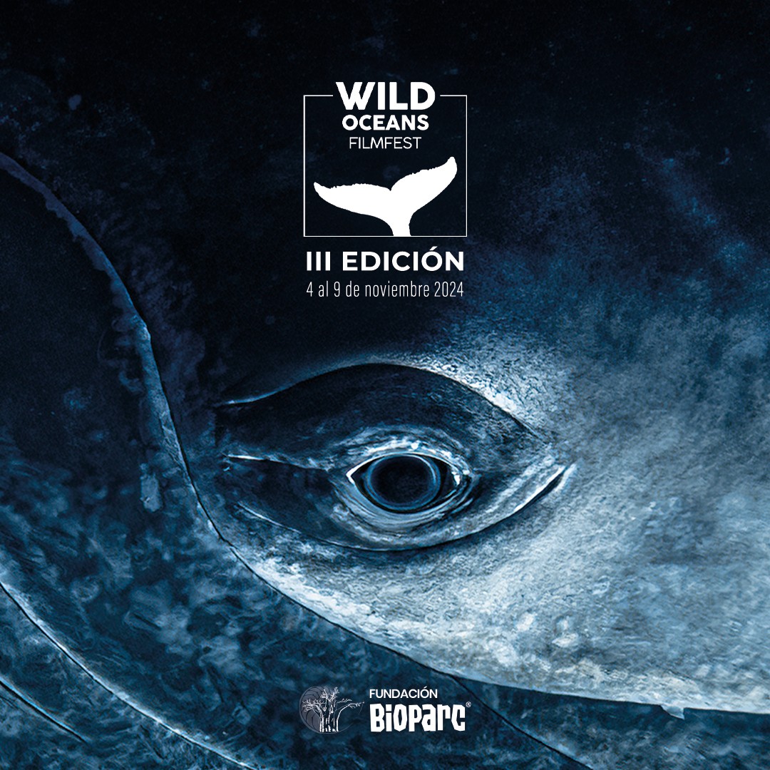 Cartel Wild Oceans FilmFest